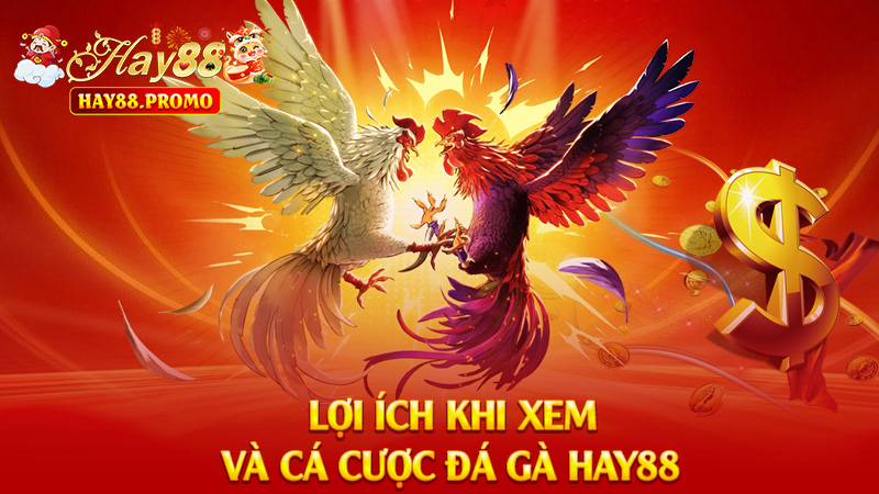 Lợi Ích Khi Xem Và Cá Cược Đá Gà Hay88