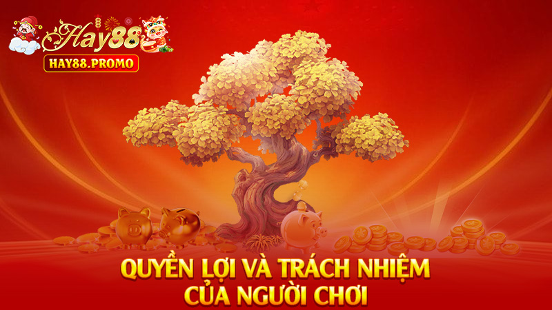 Quyền Lợi Và Trách Nhiệm Của Người Chơi