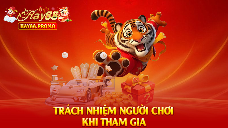 Trách Nhiệm Người Chơi Khi Tham Gia